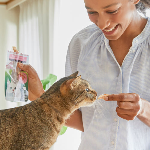 Inaba Grilled Chicken Crab Flavored Broth for Cats