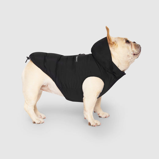 Canada Pooch Waterproof Puffer Dog Coat
