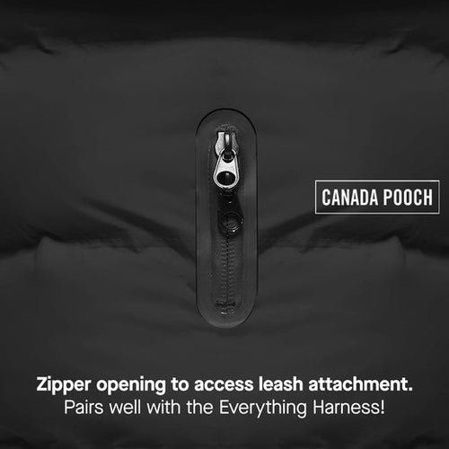 Canada Pooch Waterproof Puffer Dog Coat