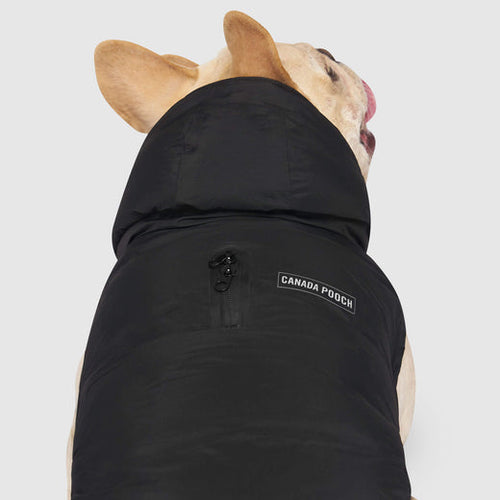 Canada Pooch Waterproof Puffer Dog Coat