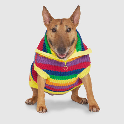 Canada Pooch Over The Rainbow Sweater for Dogs