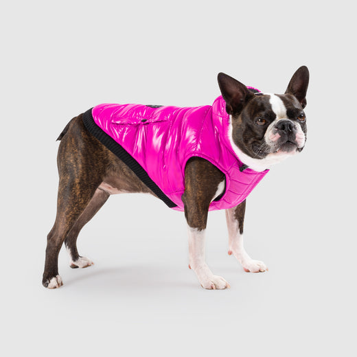 Canada Pooch Shiny Puffer Vest for Dogs