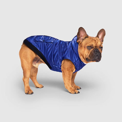 Canada Pooch Shiny Puffer Vest for Dogs
