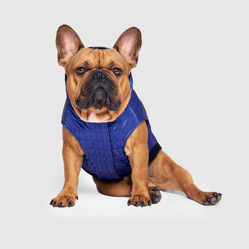 Canada Pooch Shiny Puffer Vest for Dogs