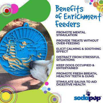 Soda Pup Lighthouse eMat Enrichment Lick Mat With Suction Cups