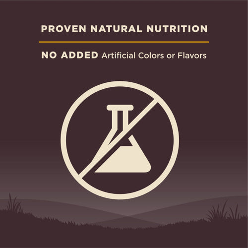 Wellness CORE Grain Free Natural Puppy Chicken Recipe Dog Food