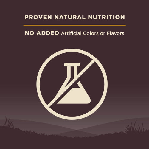 Wellness CORE Grain Free Small Breed Puppy Turkey Recipe Dog Food