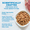 Wellness Simple Grain Free Natural Limited Ingredient Diet Diet Turkey and Potato Recipe Dry Dog Food
