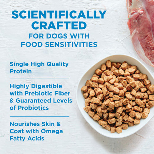 Wellness Simple Grain Free Natural Limited Ingredient Diet Diet Turkey and Potato Recipe Dry Dog Food