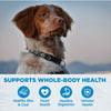 Wellness Simple Grain Free Natural Limited Ingredient Diet Diet Turkey and Potato Recipe Dry Dog Food