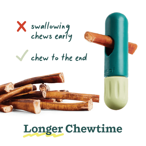 Woof The BullySafe Chew Holder Dog Toy