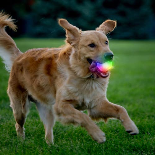 Nite Ize GlowStreak® Wild™ LED Ball - Disc-O Dog Toy