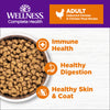 Wellness Complete Health Natural Adult Grain Free Deboned Chicken and Chicken Meal Dry Cat Food