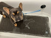 Tall Tails Dog Bath Leash with Suction Cup