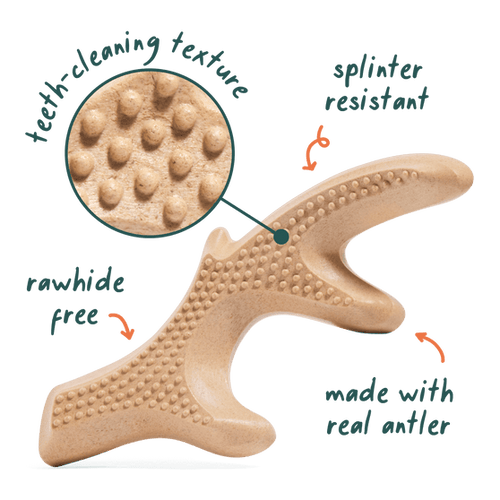 Woof HonestChew Antler Dog Treats