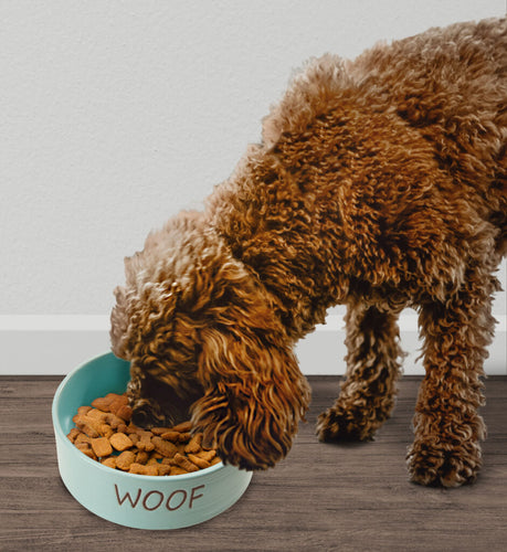 Ethical Pet Spot Portofino Dish Dog Sky Blue