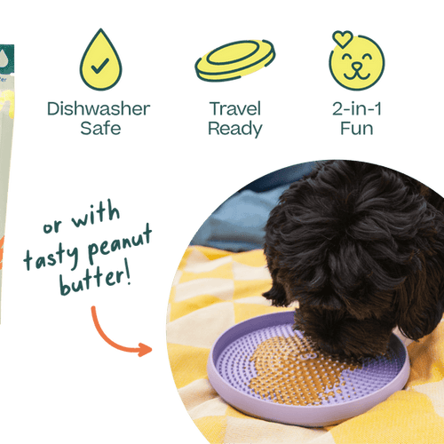 Woof Fly n' Feed Dog Toy