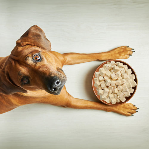 Weruva Feeling Farmy Freeze Dried with Chicken Breast, Egg & Pumpkin Dog Food