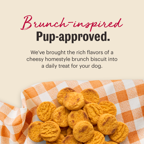 The Honest Kitchen Cheddar Biscuits Dog Treats