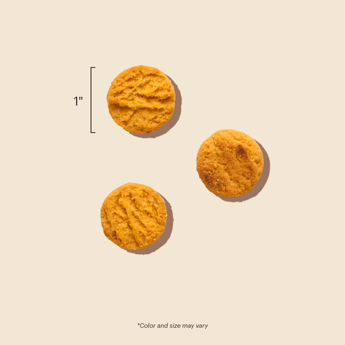 The Honest Kitchen Cheddar Biscuits Dog Treats