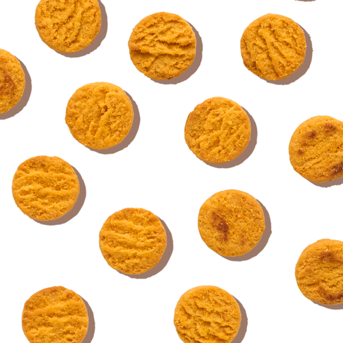 The Honest Kitchen Cheddar Biscuits Dog Treats