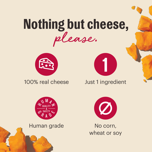 The Honest Kitchen Cheddar Cheese Bites Dog Treats