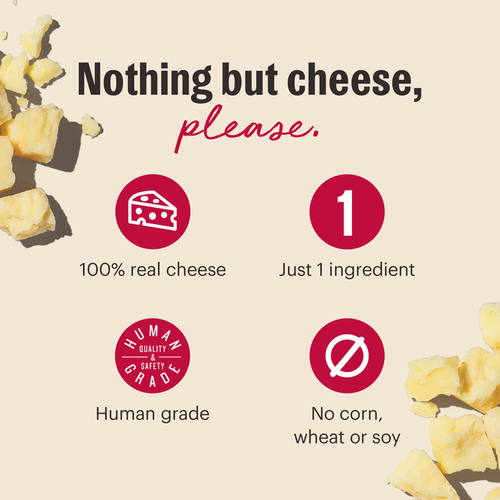 The Honest Kitchen Gouda Cheese Bites Dog Treats