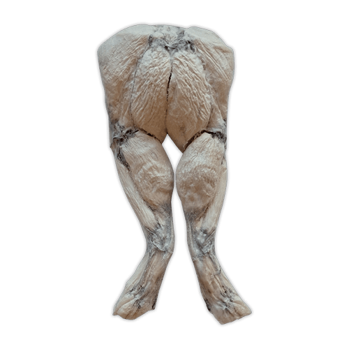 Bones & Co Frog Legs Freeze-Dried Dog Treats