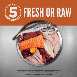 ORIJEN Small Breed Puppy Recipe Dry Dog Food