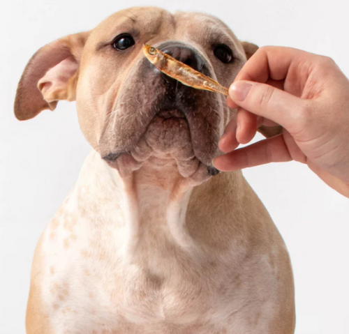 Polkadog Polkadog Atlantic Silverside Dogs & Cats Treats