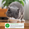 Inaba Dashi Delights Chicken with Tuna & Scallop Recipe Cat Treats