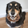 Nylabone Strong Chew Textured Ring Dog Chew Toy