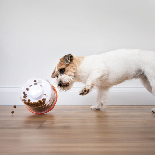 Nylabone Boop N Bobble Puzzle Treat Toy