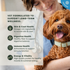 Instinct FreshRaw Meals Recipe Sampler Adult Dog Food