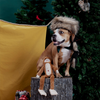 Bark Hairy Henderson Plush Extra-Large + Tug Dog Toy