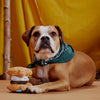 Bark More S'mores Plush Tug Dog Toy