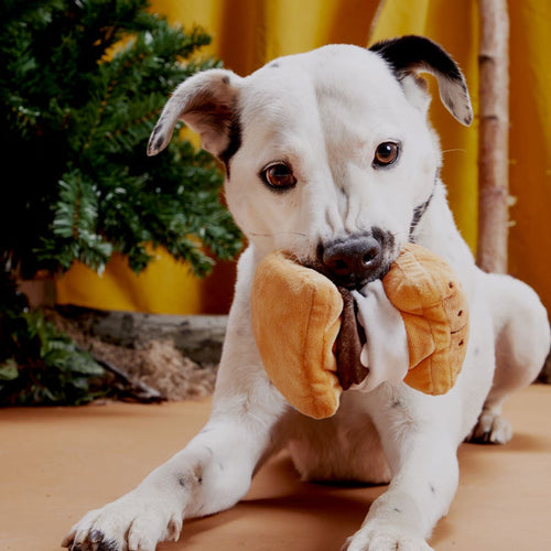 Bark More S'mores Plush Tug Dog Toy