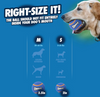 Chuckit! Squeaker Tennis Ball 2 Pack Dog Toys