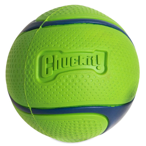 Chuckit! Sniff Fetch Ball Duo Dog Toy