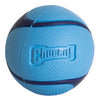 Chuckit! Sniff Fetch Ball Duo Dog Toy