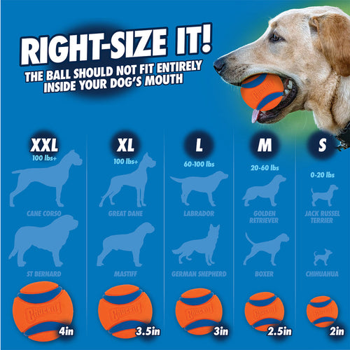 Chuckit! Sniff Fetch Ball Duo Dog Toy