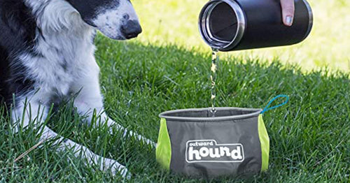 Outward Hound Port-A-Bowl Portable Dog Dish, Green, Large