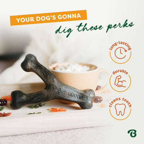 BENEBONE Wishbone Pumpkin Spice