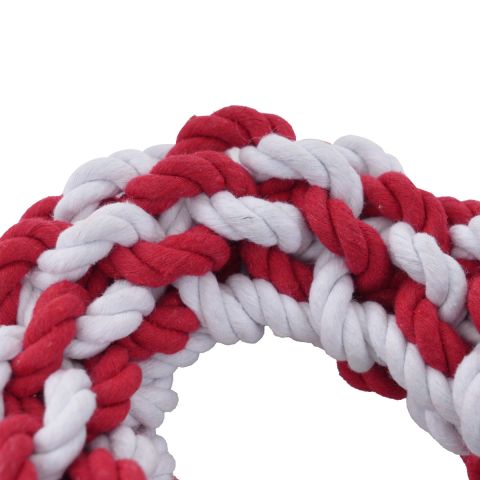 Territory Candy Cane Braided Rope Dog Toy