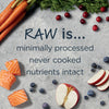 Instinct Dog Food Raw Boost Whole Grain Real Salmon & Brown Rice Recipe Dry Dog Food (20 lbs)