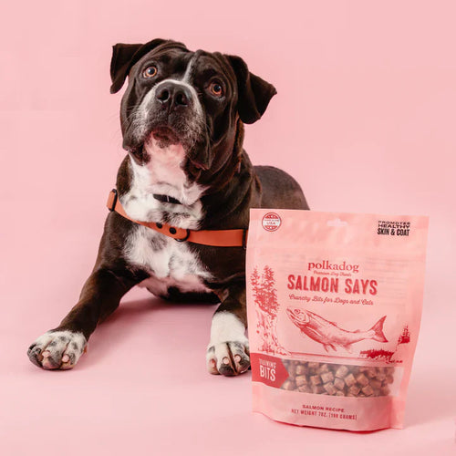 Polkadog Salmon Says (Bits) Dog Treats (12 oz)