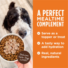 Nature's Variety Instinct Healthy Cravings Variety Pack Wet Dog Food Topper