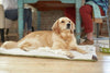 Tall Tails CREAM FLEECE DOG CRATE BED