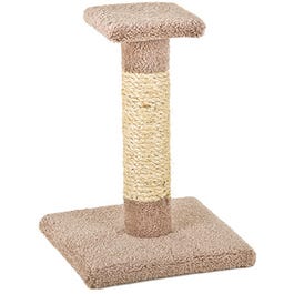 Kitty Cactus With Natural Rope And Top, 18-In.