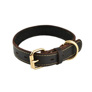 Tall Tails Genuine Leather Dog Collar